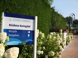 Holiday park Schoorl  26