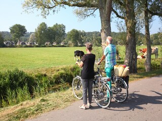 Vakantiepark Schoorl Omgeving 20