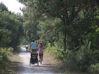 Vakantiepark Schoorl Omgeving 21