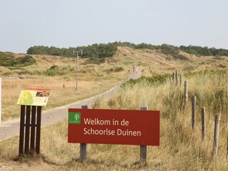 Vakantiepark Schoorl Omgeving 26
