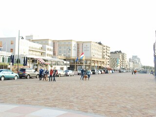Parc de vacances Noordwijk Environnement 10