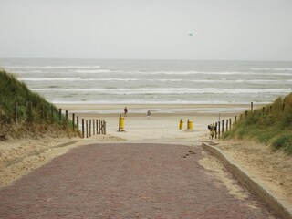 Parc de vacances Noordwijk Environnement 15