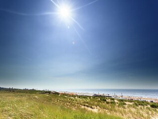 Parc de vacances Noordwijk Environnement 8