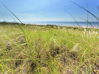 Parque de vacaciones Noordwijk Entorno 16