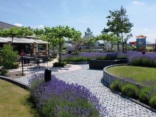 Parc de vacances Noordwijk  40