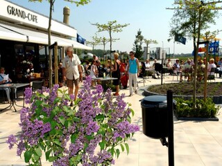 Parc de vacances Noordwijk  30