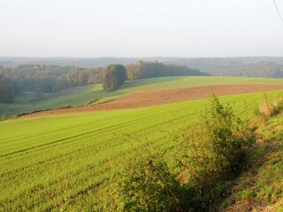 Cottage Robelmont Umgebung 16