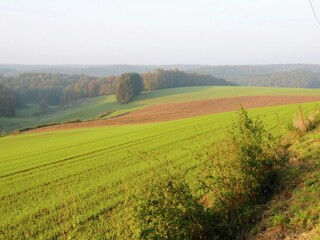 Vakantiehuisje Robelmont Omgeving 20