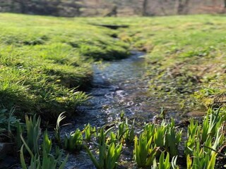 Cottage Robelmont Umgebung 35