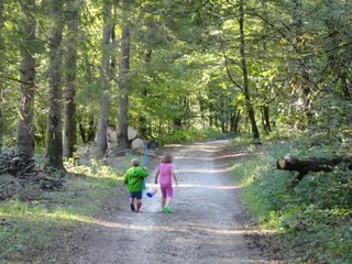 Vakantiehuisje Robelmont Omgeving 36