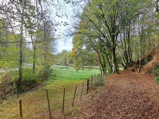 Vakantiehuisje Robelmont Omgeving 17
