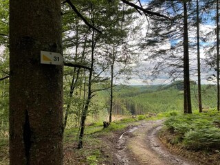 Vakantiehuisje Robelmont Omgeving 20