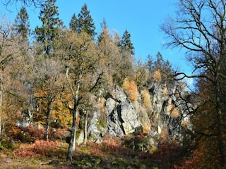 Holiday cottage Robelmont Environment 12