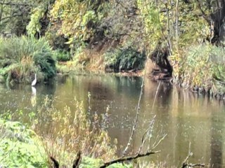 Casa vacanze Robelmont Ambiente 14