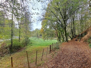 Maison de vacances Robelmont Environnement 18