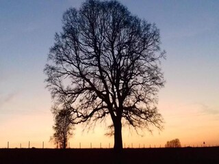 Casa vacanze Robelmont Ambiente 11