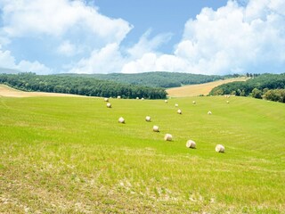Fattoria Collesalvetti Ambiente 26