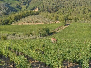 Parc de vacances San Donato in Poggio Environnement 32