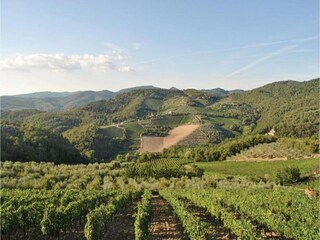 Vakantiepark San Donato in Poggio Omgeving 37