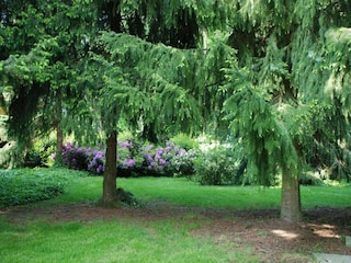 Vakantiepark Arcen Omgeving 13