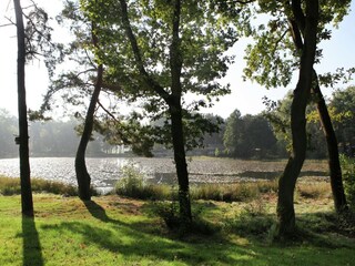 Vakantiehuis Stramproy Omgeving 26