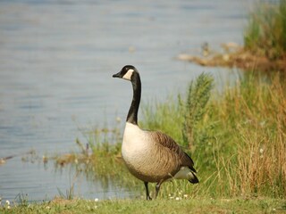 Holiday house Stramproy  31