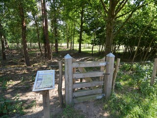 Vakantiehuis Stramproy Omgeving 26