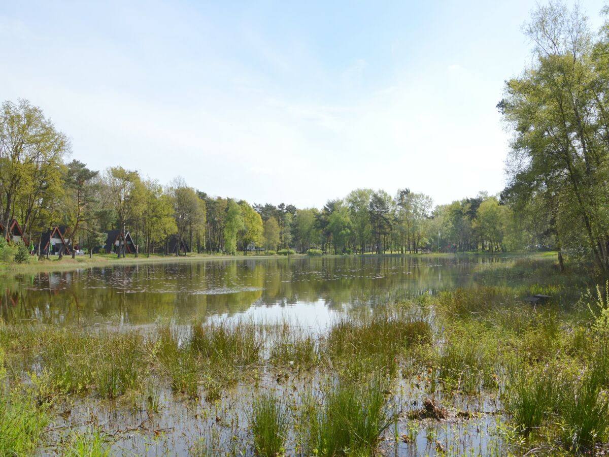 Ferienhaus Stramproy Umgebung 24