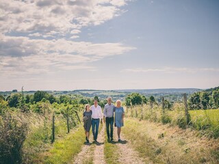 Vakantiepark Walem Omgeving 19