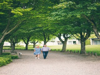 Holiday park Walem  24