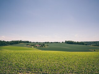 Parc de vacances Walem Environnement 19