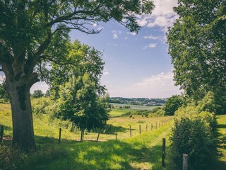 Vakantiepark Walem Omgeving 15