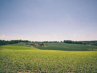 Holiday park Walem Environment 11