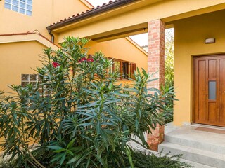 Villa Galižana Buitenaudio-opname 11