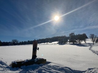 Chalet Willingen Buitenaudio-opname 15