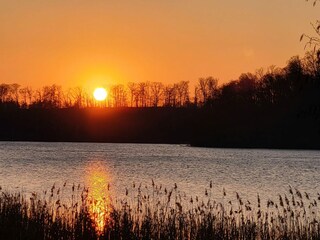 Casa per le vacanze Pinnow Registrazione all'aperto 22
