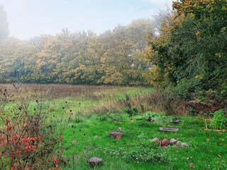 Vakantiehuis Nysted  50