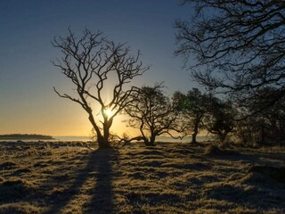 Maison de vacances Nysted  50