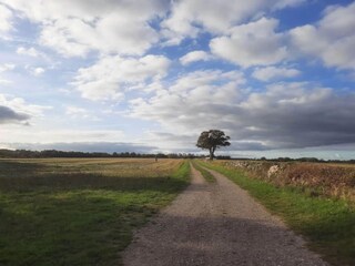 Vakantiehuis Nysted  36