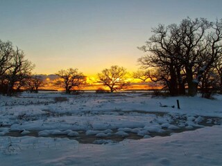 Vakantiehuis Nysted  37