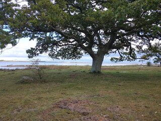 Casa per le vacanze Nysted  19