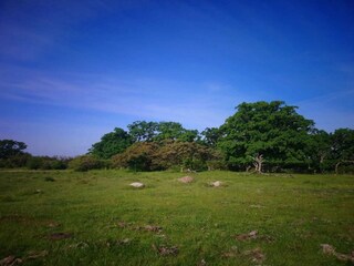 Maison de vacances Nysted  43