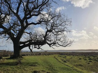 Maison de vacances Nysted  25