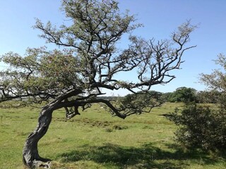 Casa per le vacanze Nysted  24