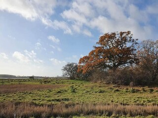 Casa per le vacanze Nysted  39