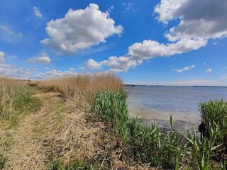 Vakantiehuis Nysted  40