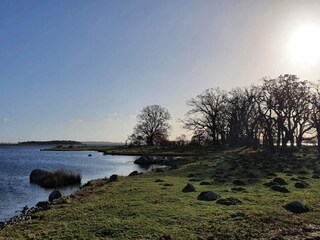 Vakantiehuis Nysted  9