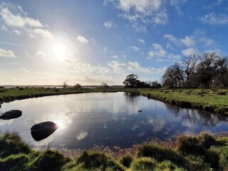 Vakantiehuis Nysted  49