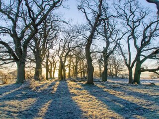 Casa de vacaciones Nysted  10