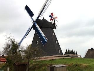 Die Bockwindmühle Paula